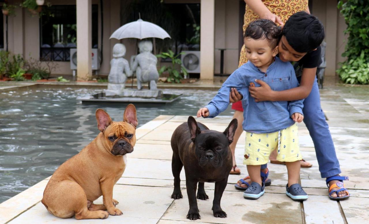 Manas Resort With Petting Zoo, Igatpuri Εξωτερικό φωτογραφία
