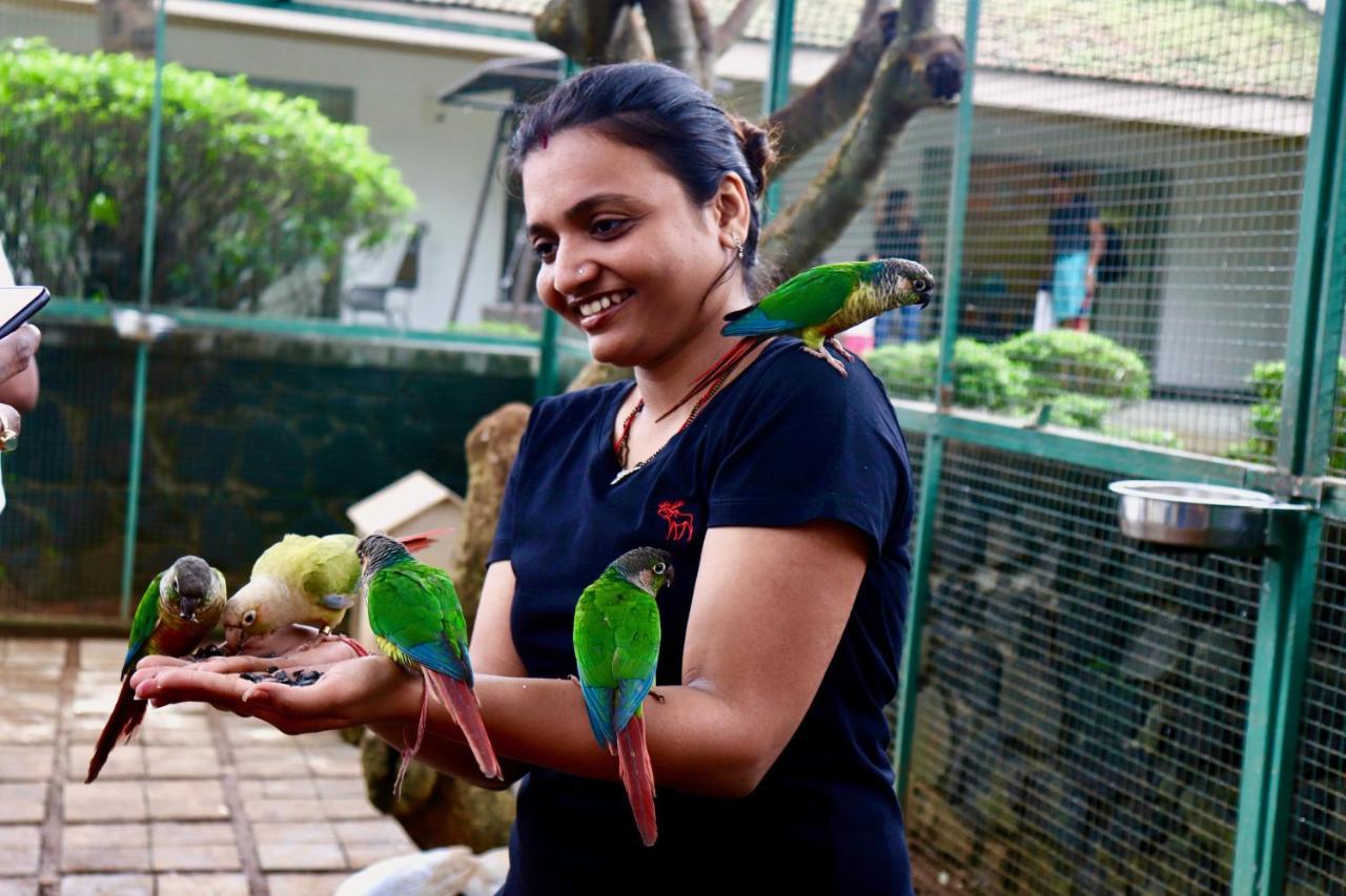 Manas Resort With Petting Zoo, Igatpuri Εξωτερικό φωτογραφία
