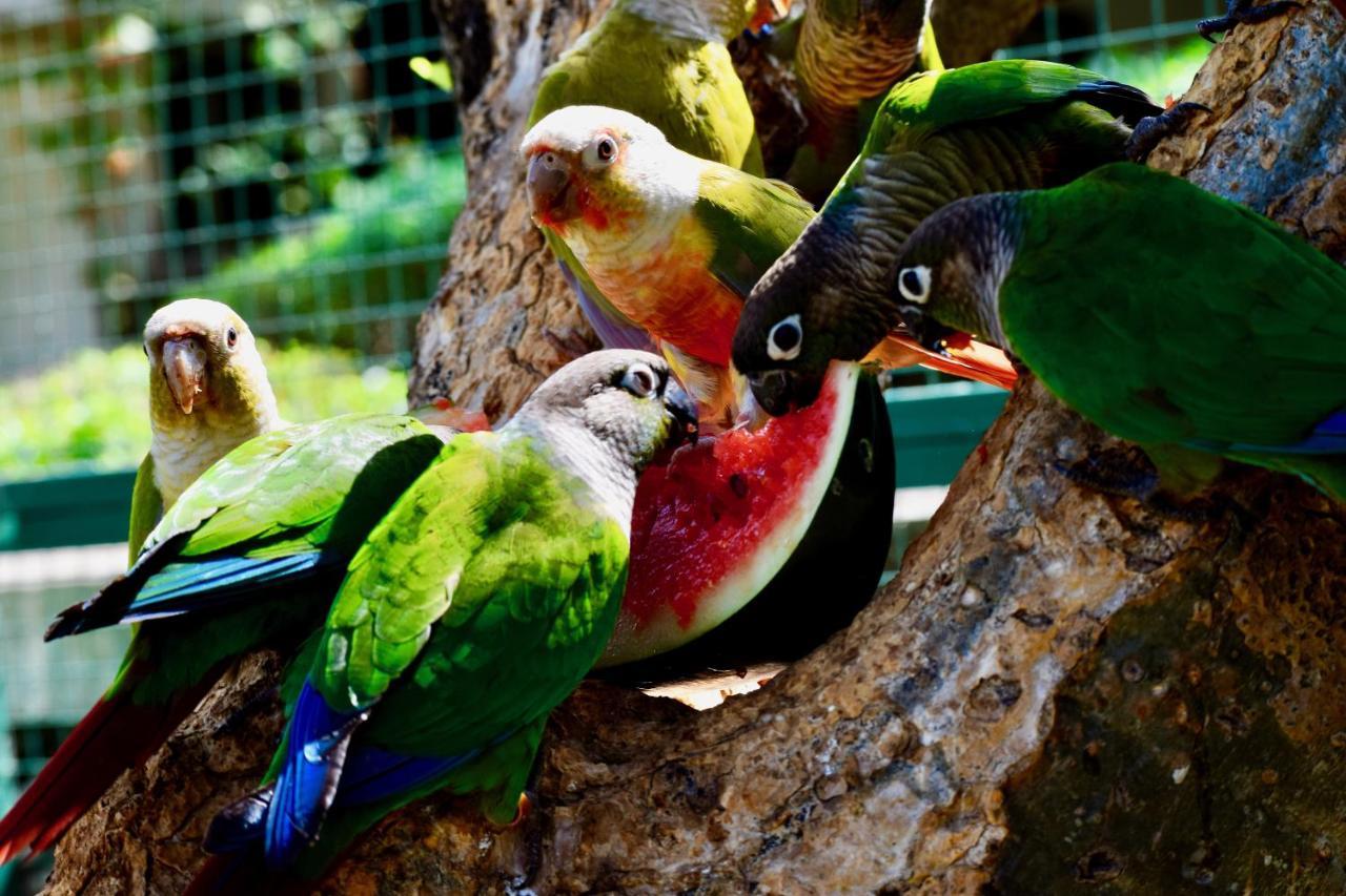Manas Resort With Petting Zoo, Igatpuri Εξωτερικό φωτογραφία